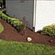 Flowerbed & Shrub Maintenance